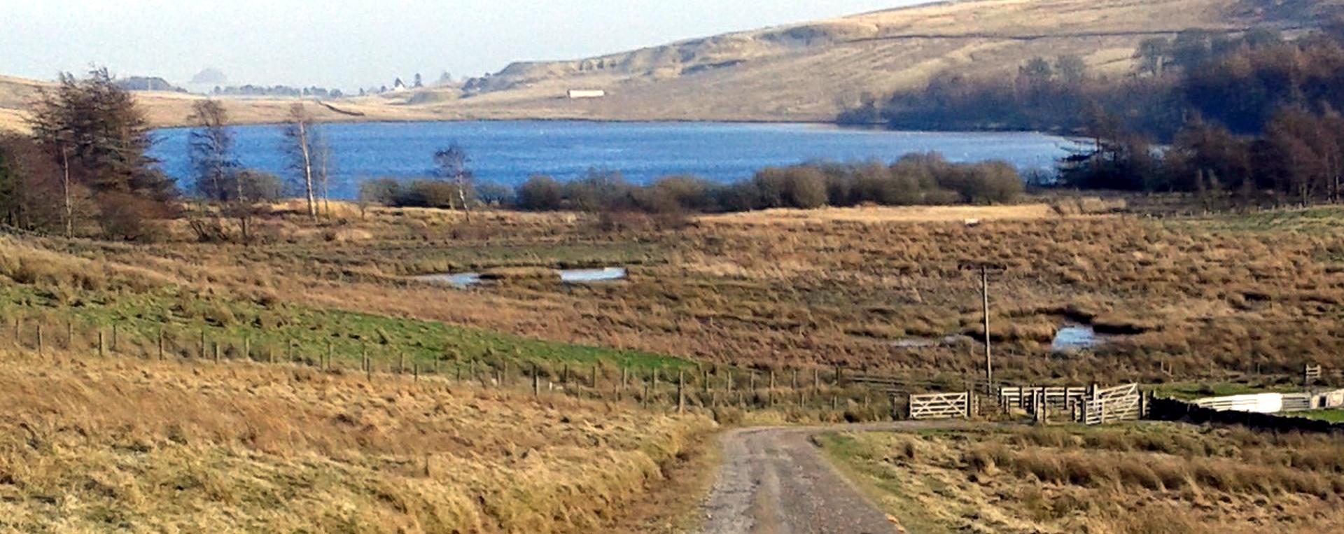 Tindale Tarn from the RSPB road ,there is a viewing platform near to the waters edge just off the road